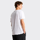 THE NORTH FACE T-shirt Lifestyle  Male 