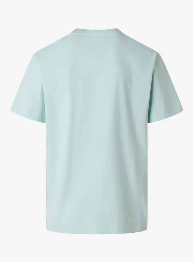 THE NORTH FACE T-shirt Lifestyle  Male 