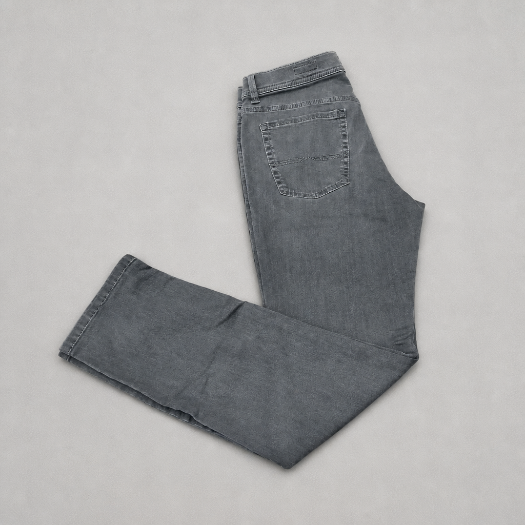PIONEER RANDO PANT GREY