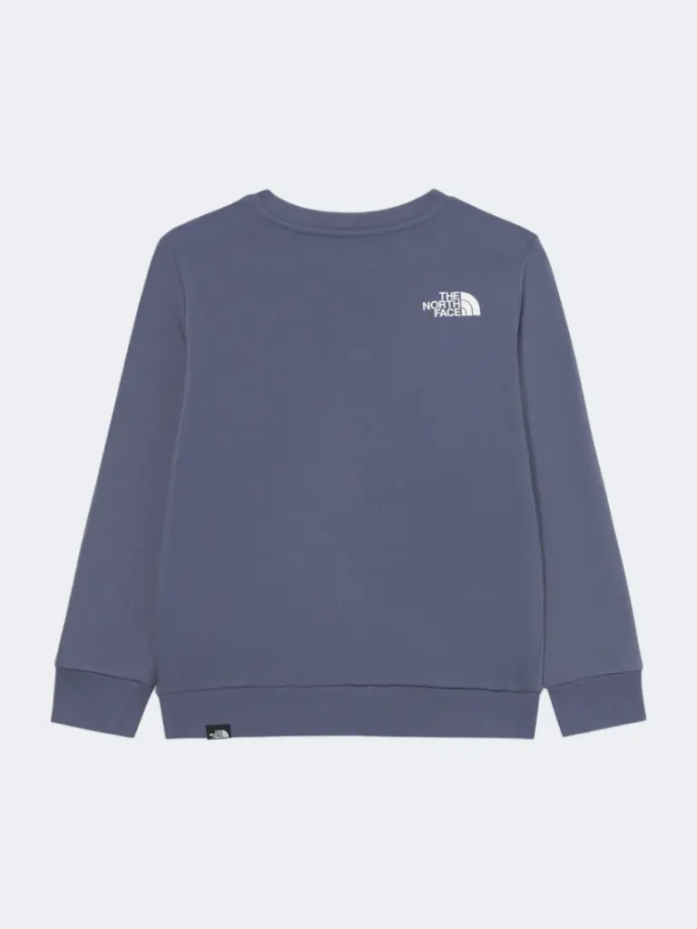 THE NORTH FACE MEN’S SIMPLE DOME SWEATSHIRTS
