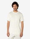 BENVENUTO Plain T-Shirt Male 