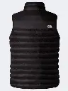 The North Face Men’s Terra Peak Vest