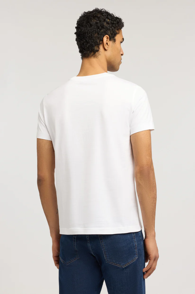 TRUSSARDI Regular Cotton T-Shirt Male