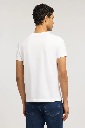 TRUSSARDI Regular Cotton T-Shirt Male
