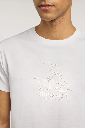 TRUSSARDI Regular Cotton T-Shirt Male