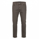 PIONEER RANDO PANT Male BROWN