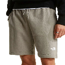 THE NORTH FACE Short Lifestyle  Male 