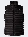 The North Face Men’s Terra Peak Vest