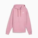 The North Face Hoodie Female