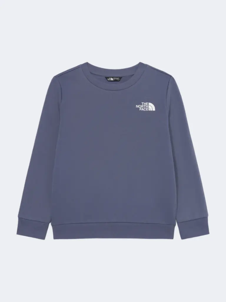 THE NORTH FACE MEN’S SIMPLE DOME SWEATSHIRTS