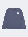 THE NORTH FACE MEN’S SIMPLE DOME SWEATSHIRTS
