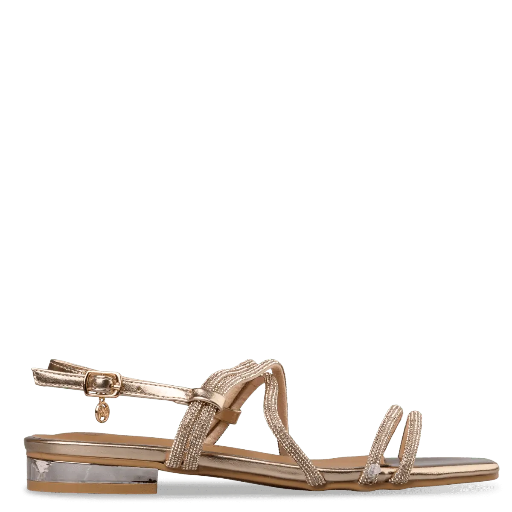 ENVIE Shoes  Female