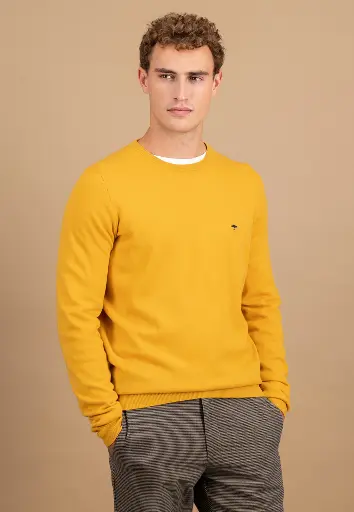  FYNCH HATTON  Sweater Knit Male