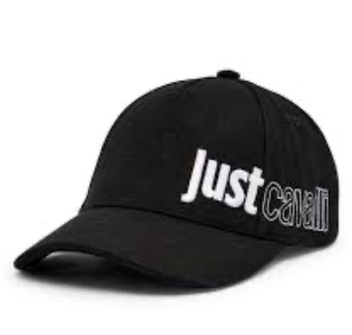[79QAZK20 ZG408] JUST CAVALLI Accessories  Male