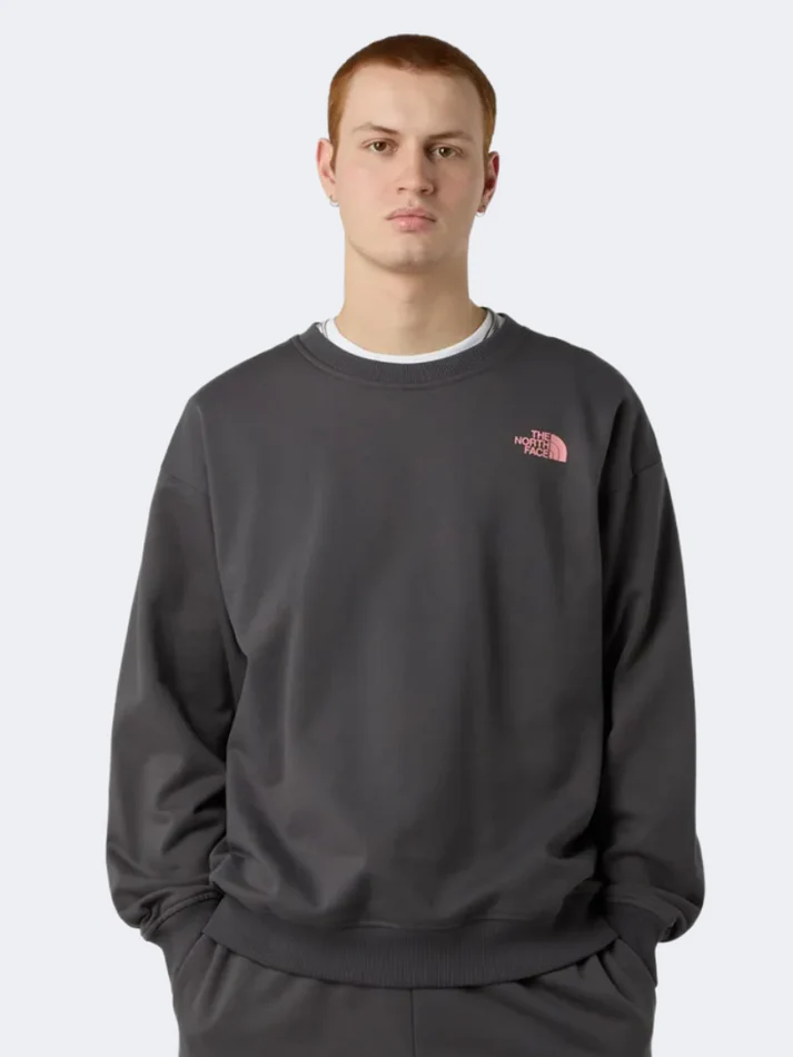 The North Face Expedition Celebration Men Lifestyle Sweatshirt Anthracite Grey